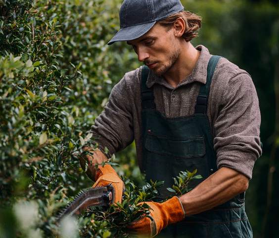 A young man wearing a cap and work gloves is trimming hedges with pruning shears. He is dressed in a sweater and overalls, concentrating on his task in a lush green garden, highlighting principles of ecological design through landscape maintenance.