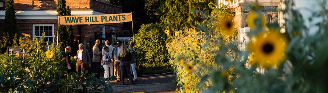 Visitors gathered outside the Wave Hill Plants shop, surrounded by vibrant sunflowers in the foreground. The scene showcases a pleasant garden setting with greenery and flower beds enhancing the inviting atmosphere.